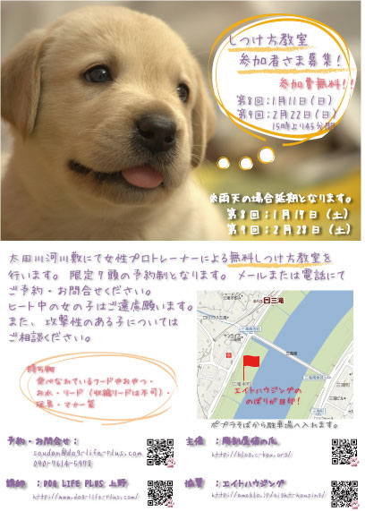 DOG LIFE PLUSでは気軽にご参加頂けるしつけ方教室を各地で開催しております。