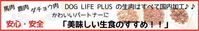 犬のプレミアムフードの通販DOG LIFE PLUS が販売する、犬の生肉のご紹介です