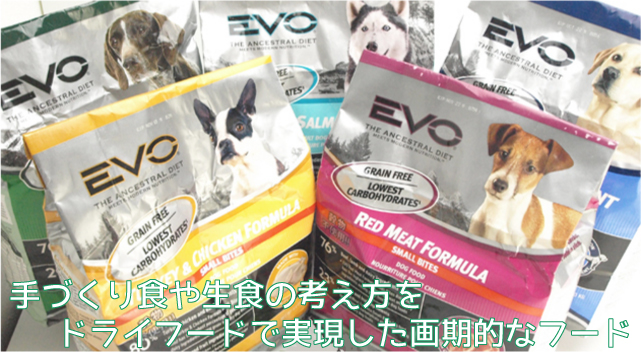 犬のプレミアムフード、おやつなどを販売する犬とオーナーのためのお店「DOG LIFE PLUS」の販売するエボについてのご紹介です