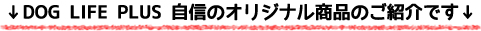 DOG LIFE PLUS 自信のオリジナル商品のご紹介です