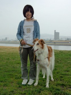 犬,しつけ,広島,出張,トレーニング