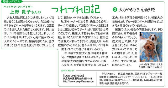 中国新聞折り込みのミニ新聞「Cue」のコラム欄へ8月4回連続で掲載をして頂きました。