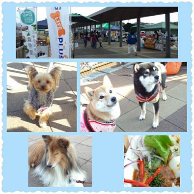 犬とオーナーのためのお店「DOG LIFE PLUS」、ネットショップを飛び出して各イベント会場にてお待ちいたしております。