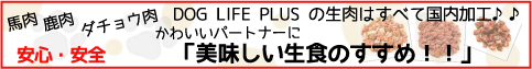 犬のプレミアムフードの通販DOG LIFE PLUS が販売する、犬の生肉のご紹介です