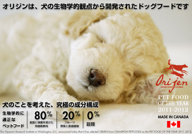 犬のプレミアムフードの通販DOG LIFE PLUS が販売する、穀物不使用のプレミアムフード、オリジンのご紹介です