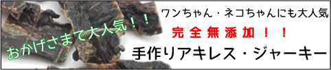 犬のプレミアムフードの通販DOG LIFE PLUS が販売する、無添加ジャーキー、お肉ジャーキー、お魚ジャーキーについてのご紹介です