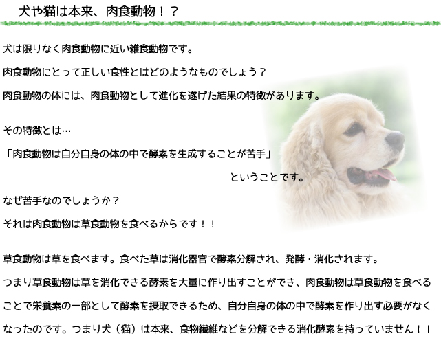 犬のプレミアムフードの通販DOG LIFE PLUS が販売する、犬の生肉についての説明です