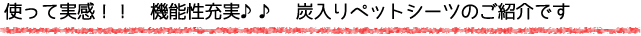 DOG LIFE PLUS が販売する、炭入りペットシーツのご紹介です